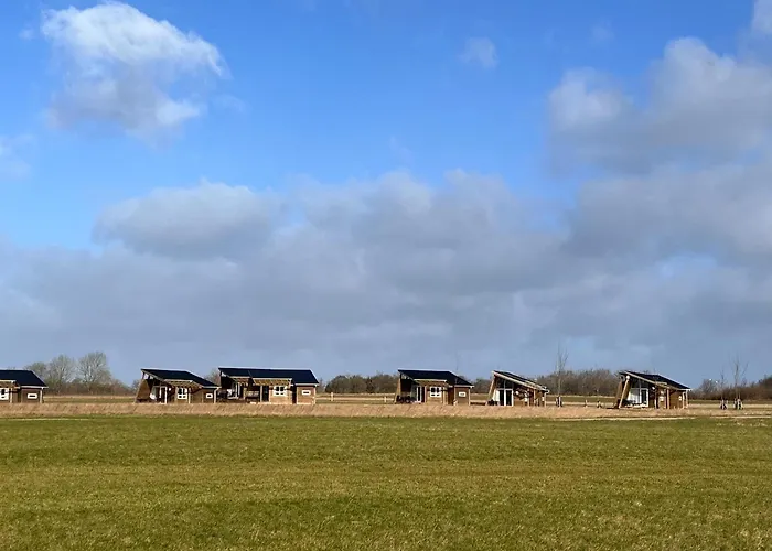 Dancamps Kolding City