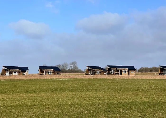 Dancamps Kolding City